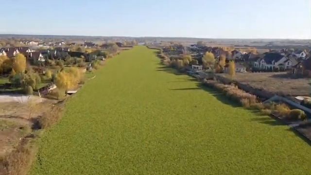 Река в Киеве зацвела?? смотреть онлайн