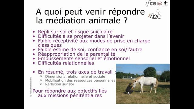 Médiation équine des chevaux et des prisonniers - Catherine Mercier смотреть онлайн