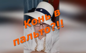 Не то, пальто!