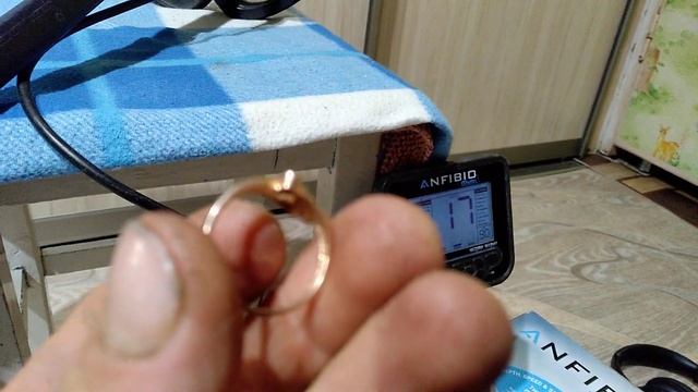 Нокта амфибио мульти и золото