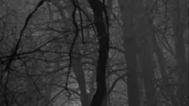 Пони клип~ А закаты алые~ на 23 февраля смотреть онлайн