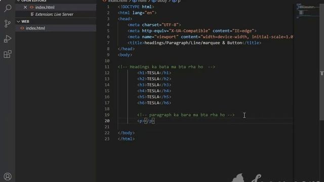 Heading,Paragraph,Marquee & Button || Web Development