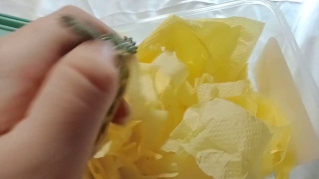 перевозка черепах смотреть онлайн