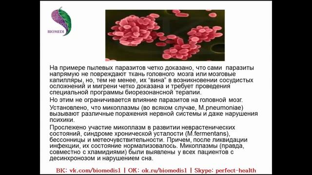 Клебсиелла. Гистоплазмоз. Пылевые клещи. Микоплазма. Хламидия. Хеликобактер.