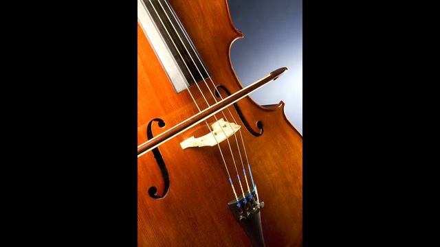 TRIUM 3: Demo CD - "Bridal Chorus" by Wagner смотреть онлайн