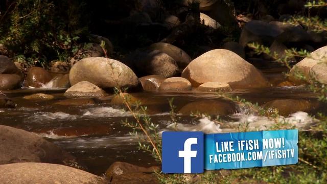 IFISH - Fly Fishing basics in Victorian High Country ! #SIMPLE смотреть онлайн
