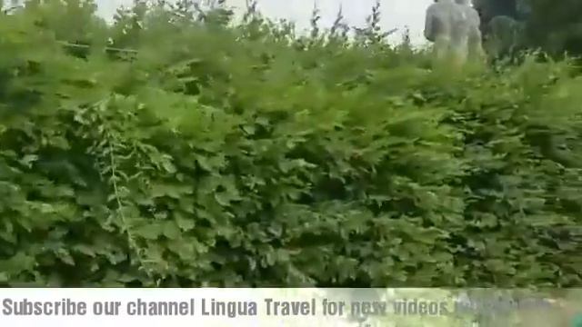 Olympia Stadion  || Olympics Stadium || Berlin || Germany