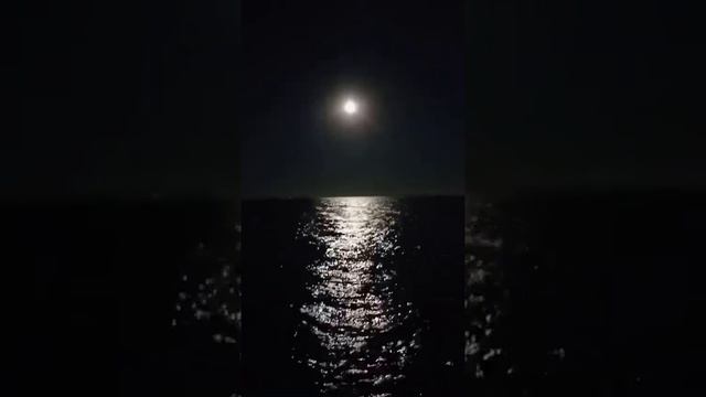 Полнолуние на море! Вечерняя рыбалка в Евпатории. Наловили с женой Скорпен! Довольны как слоны))) смотреть онлайн