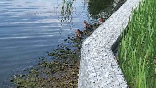 КАЗАНЬ/KAZAN 2К18 VLOG смотреть онлайн