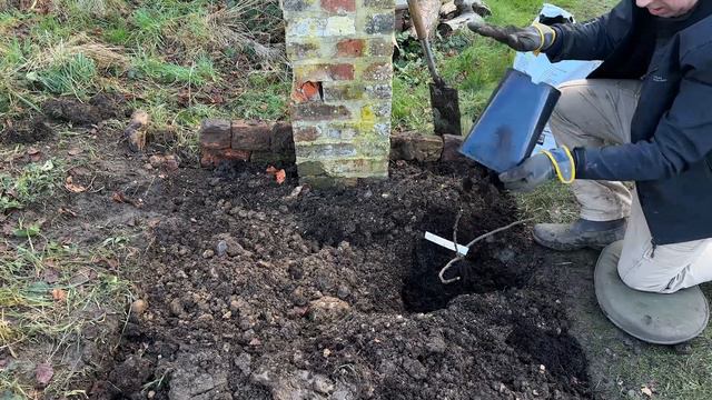 A New Border For Climbing Roses, Peonies & Summer Bulbs смотреть онлайн