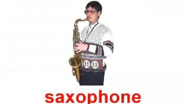 Doman flash cards for wunderkinds