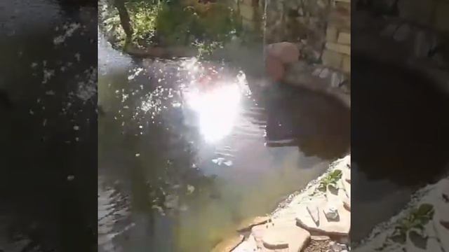 Водопад во дворе. смотреть онлайн