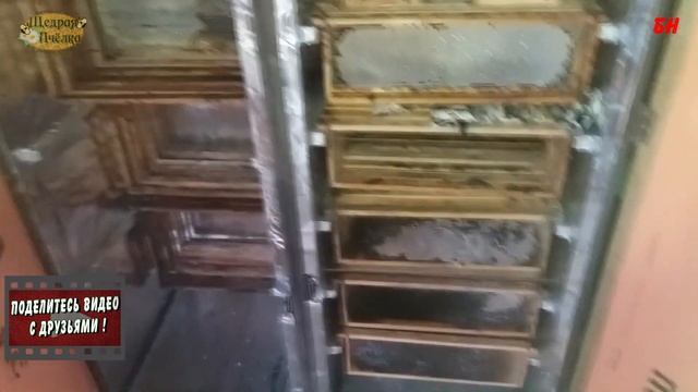 ПЧЕЛОВОДСТВО хранение пчелиных сотов смотреть онлайн