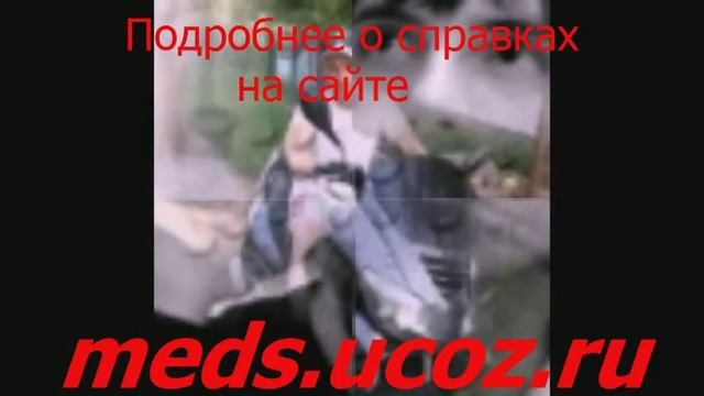 Вид на жительство в россии, медицинская справка, форум смотреть онлайн