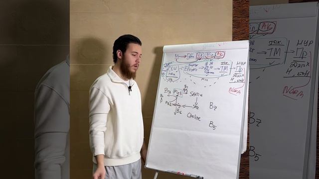 Метилирование и микрофлора тонкого кишечника смотреть онлайн