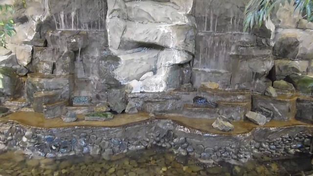 Летний сад в Новосибирском зоопарке смотреть онлайн