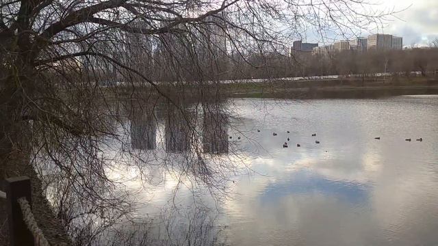 Парк усадьба Михалково, Головинский пруд в Москве смотреть онлайн
