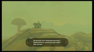 Легенда о Зельде: Слёзы королевства. Риджу из города Герудо часть 1