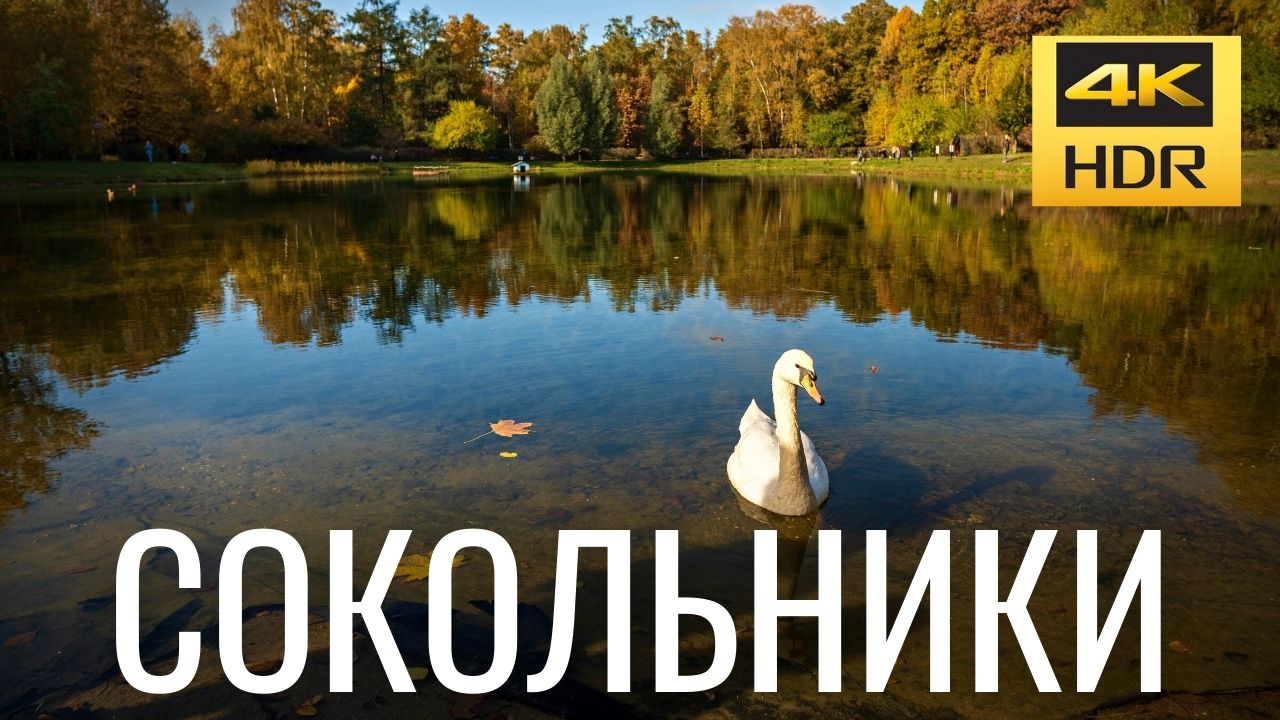Парк Сокольники