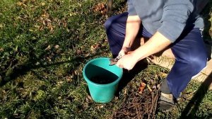 Щепа для копчения своими руками.  Холодное копчение.