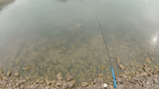 РЫБАЛКА на жереха в КРАСИВЫХ МЕСТАХ, рыбалка на спиннинг на реке Или, октябрь 2022 смотреть онлайн