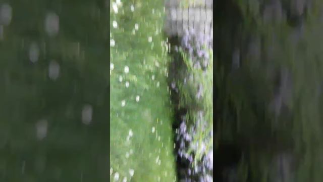 Гуляем с Джугай с Дунай часть первая смотреть онлайн