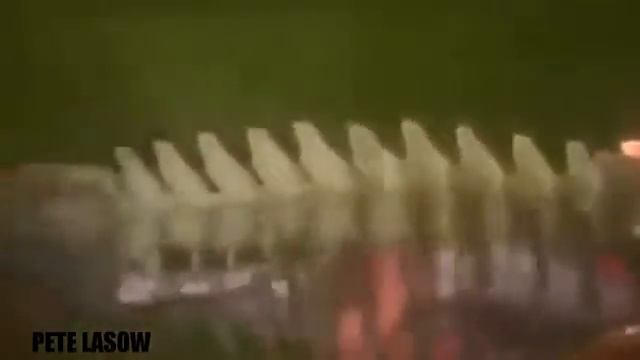 Lion Vs Buffalo Vs Crocodile Vs Elephant Real Fight - Wild Animal Attacks 26 смотреть онлайн