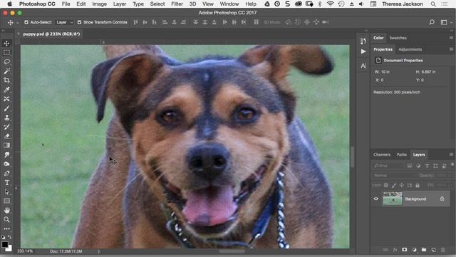 Photoshop CC Zoom and Pan Keyboard Shortcuts смотреть онлайн