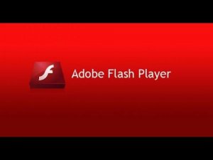 Как обновить или установить Adobe Flash Player