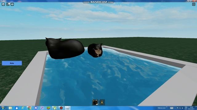 Maxwell The Cat In Roblox