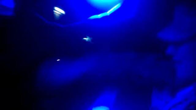 Techno Cop смотреть онлайн