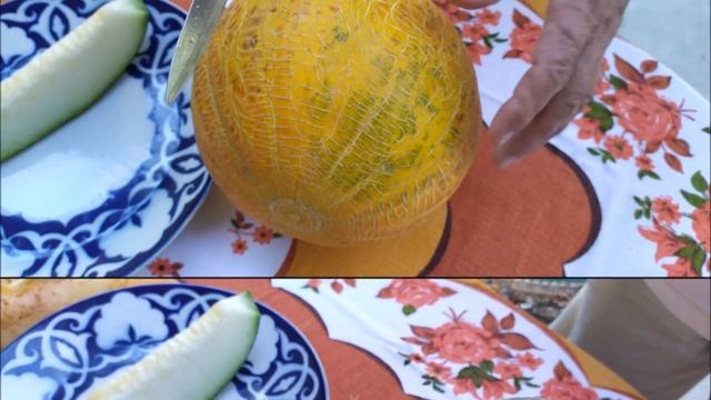 Сладкие узбекские дыни - обзор сортов и дегустация смотреть онлайн