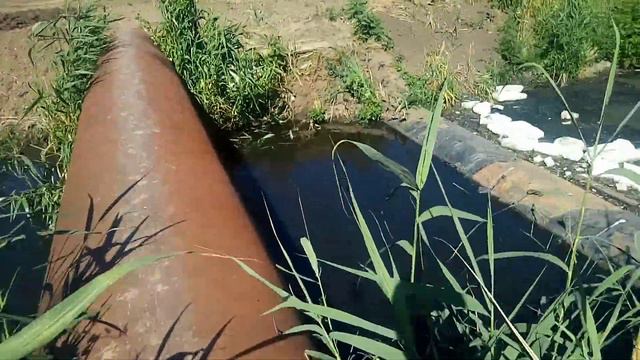 В поисках источника загрязнения смотреть онлайн