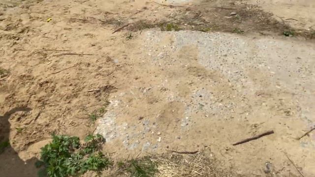 КАК НАУЧИТЬ СОБАКУ НЕ ПОДБИРАТЬ НА УЛИЦЕ? #дрессировка #воспитание #послушание #какнаучитьсобаку смотреть онлайн