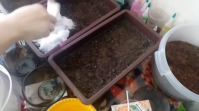 Посадка лука смотреть онлайн