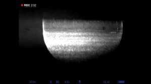 Охота на кабана с подхода с прибором ночного видения