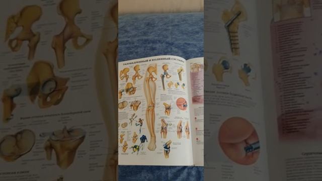Краткое введение. Видео 1. смотреть онлайн