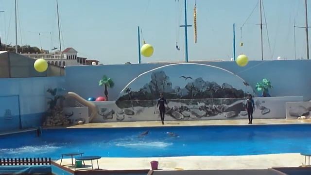 Великолепные прыжки дельфинов. смотреть онлайн