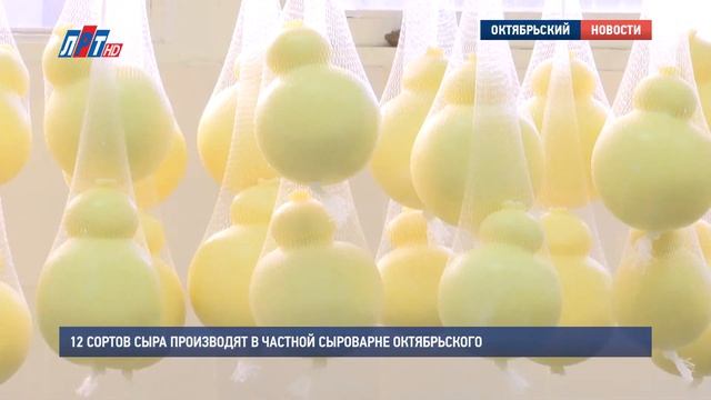 12 сортов сыра производят в частной сыроварне Октябрьского