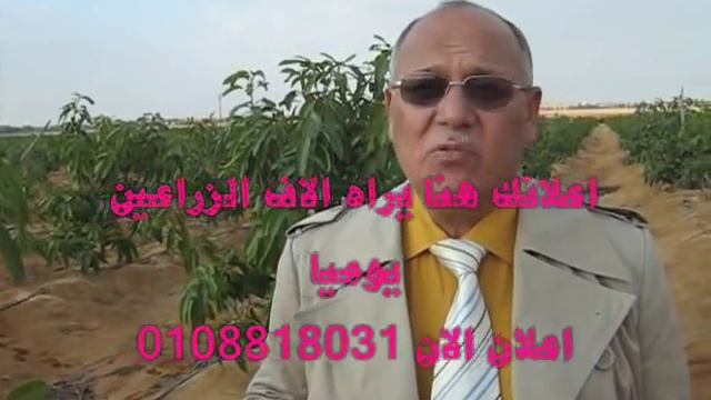 امراض المانجو.wmv смотреть онлайн