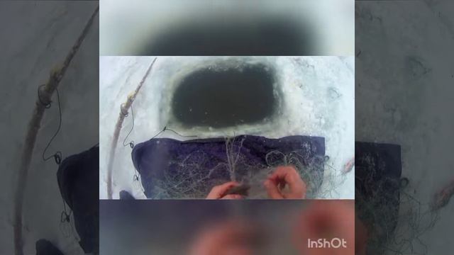 #Рыбалка зимой/ Проверка смотреть онлайн