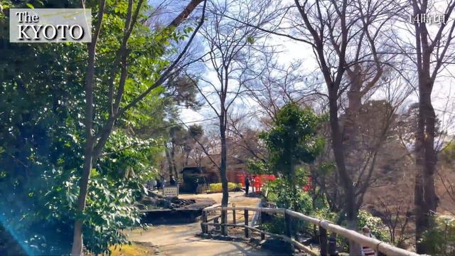 Beautiful Plum Garden at Kitano Tenmangu Shrine in Kyoto, Japan [4K] смотреть онлайн