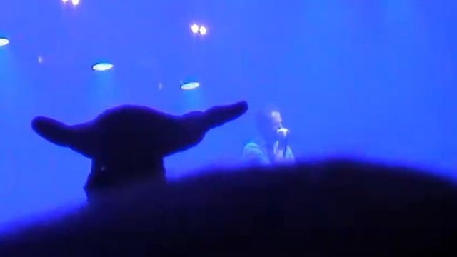 Anima ДжаZ -Тысячи Дней смотреть онлайн