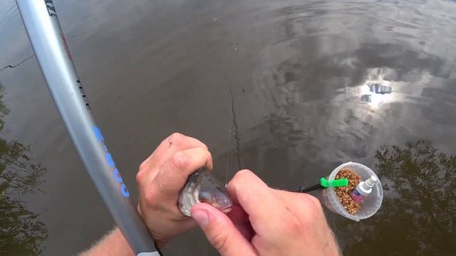 Лещ на маховую удочку,вот это кайф...Но... смотреть онлайн