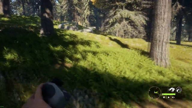 THE HUNTER COTW - POLUJE NA ŻUBRY #1