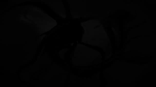 музыка сабнатика.гаргантюа. смотреть онлайн