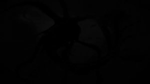 музыка сабнатика.гаргантюа.