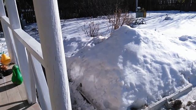 Ранний урожай в теплице и на улице.