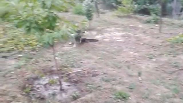 Marick смотреть онлайн