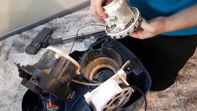Ремонт пылесоса Thomas Twin T1